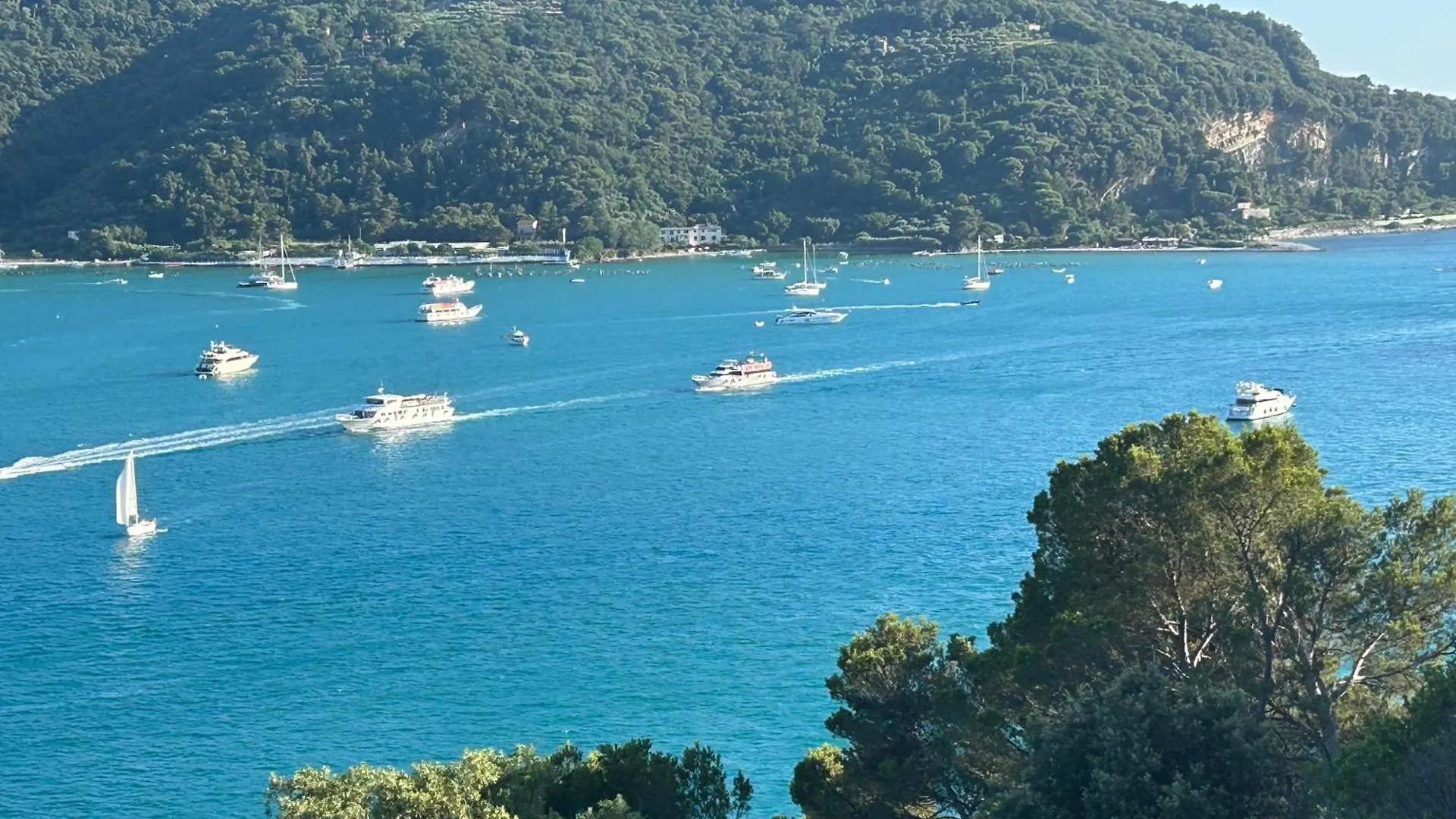 Perla Bianca Delle 5 Terre Apartment La Spezia